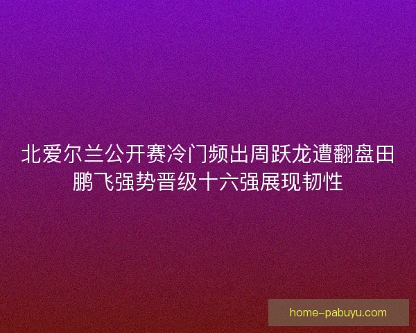 北爱尔兰公开赛冷门频出周跃龙遭翻盘田鹏飞强势晋级十六强展现韧性